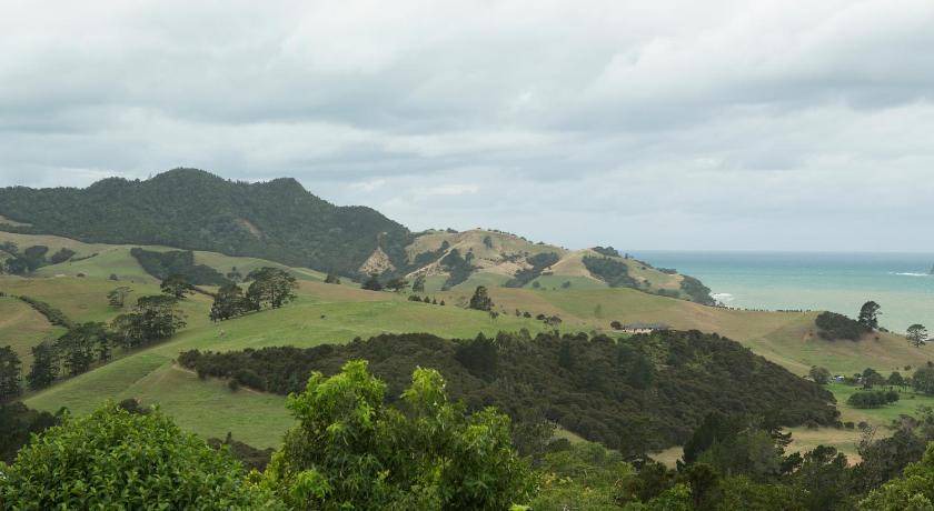 Photo of Others in Whitianga