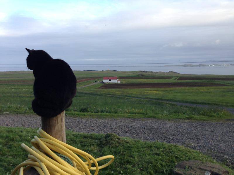 Photo of Others in Djupivogur