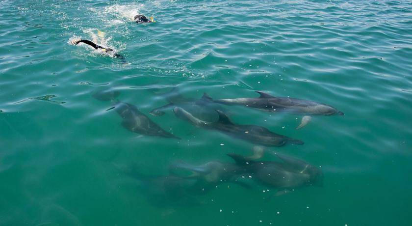 Photo of Others in Kerikeri
