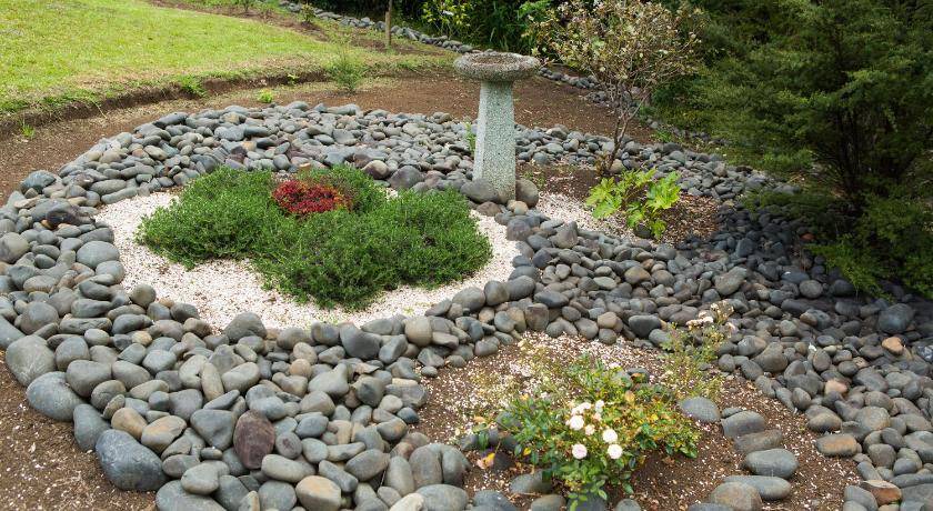 Photo of Others in Whitianga