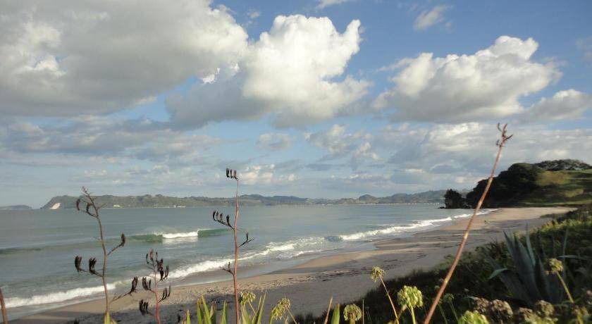 Photo of Others in Whitianga