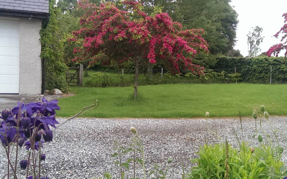 Photo of Others in Newtonmore