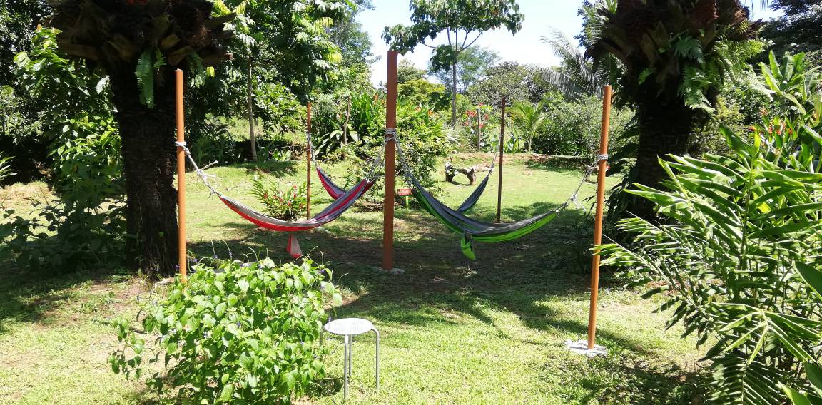 Photo of Others in Uvita