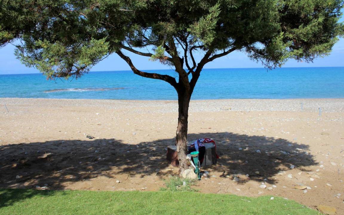 Photo of Others in Andravida-Kyllini
