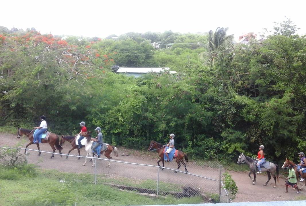 Photo of Others in Gros Islet
