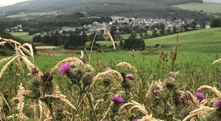 Photo of Others in Dufftown