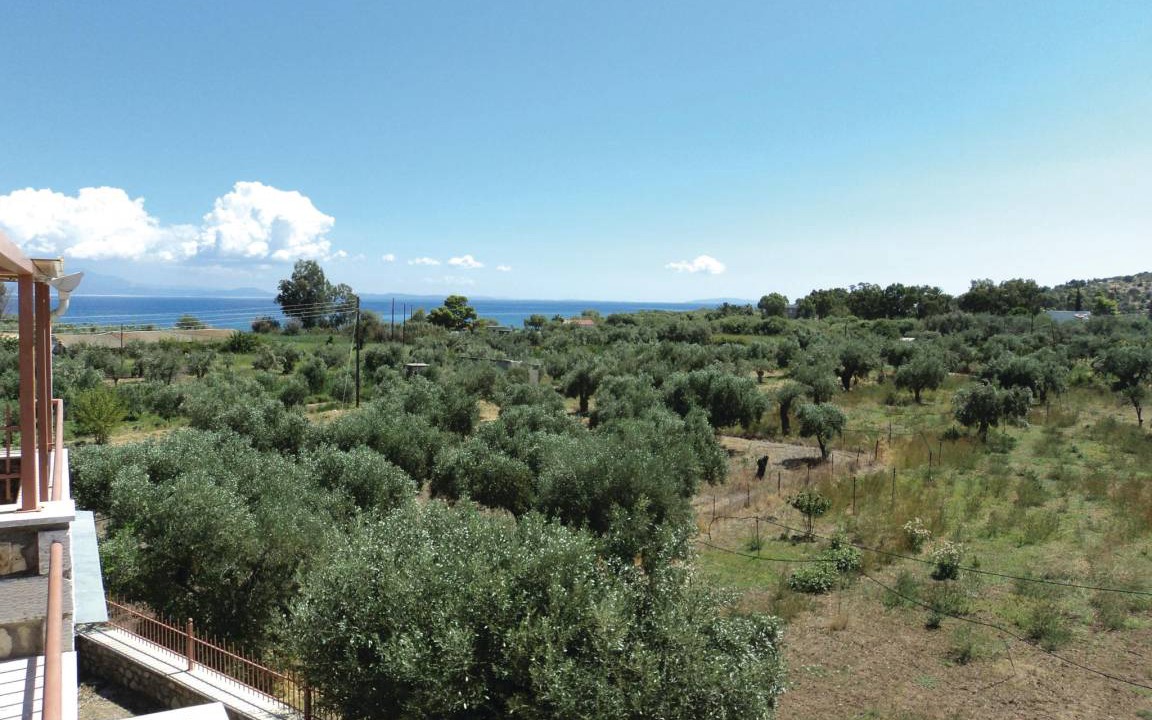 Photo of Others in Paralia