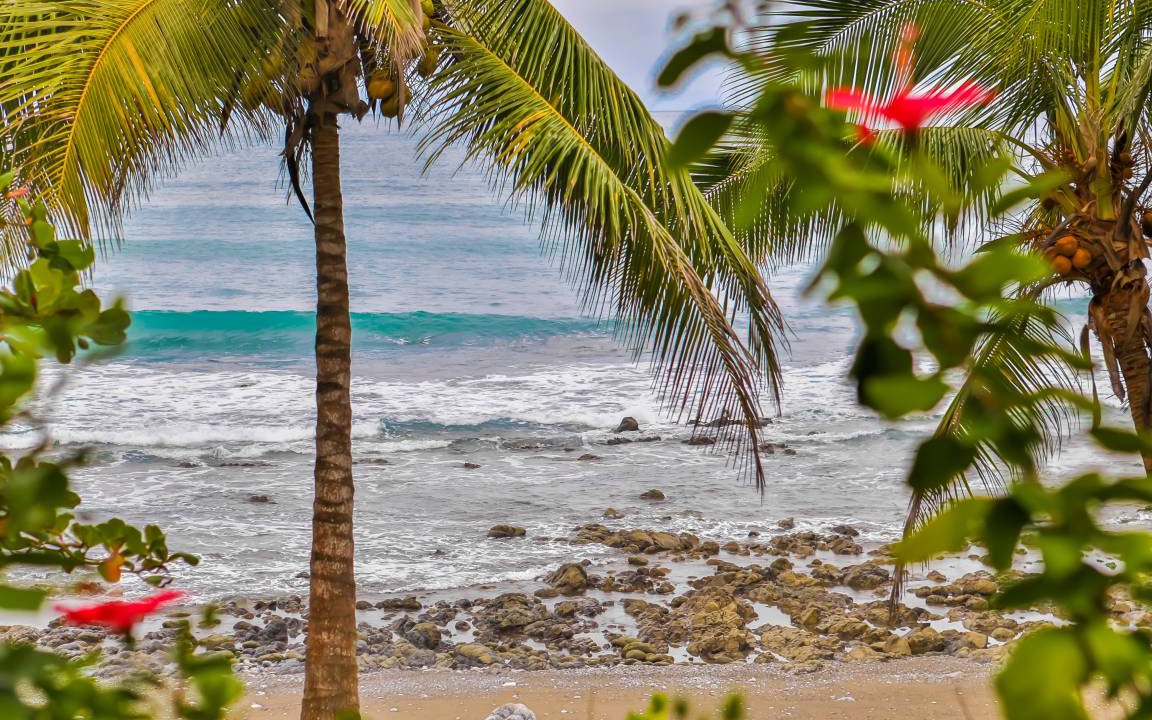 Photo of Others in Cabo Matapalo