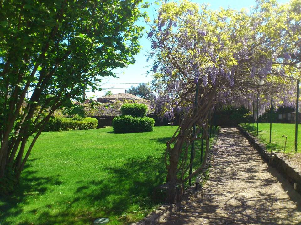 Photo of Others in Trecastagni