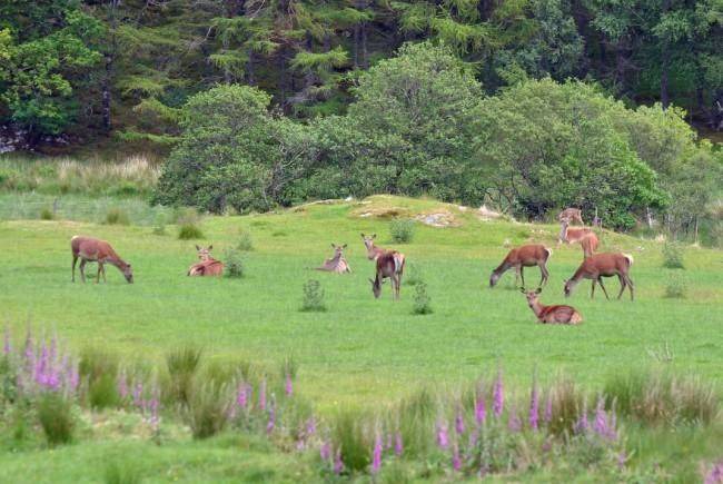 Photo of Others in Tarbert