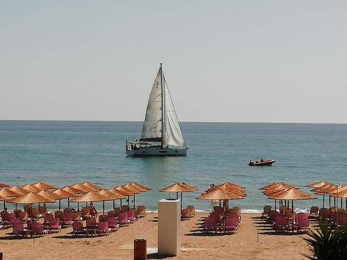 Photo of Others in Preveza