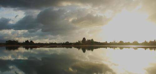 Photo of Others in Motueka