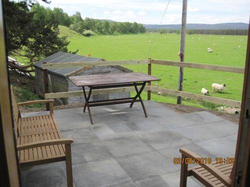 Photo of Others in Kingussie