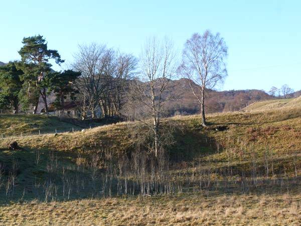 Photo of Others in Newtonmore