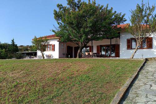 Photo of Others in Aristotelis