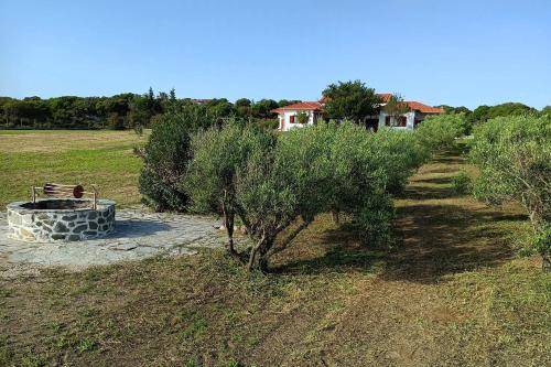 Photo of Others in Aristotelis