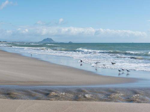 Photo of Others in Papamoa Beach