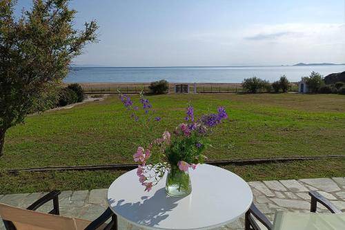 Photo of Others in Aristotelis
