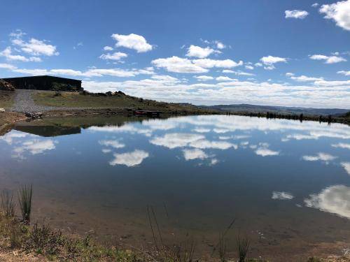 Photo of Others in Western Creek
