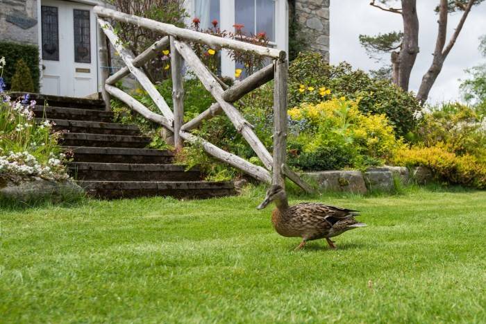 Photo of Others in Braemar