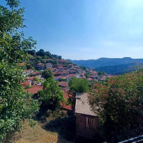 Photo of Others in Valtesiniko