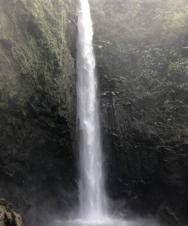 Photo of Others in Bijagua