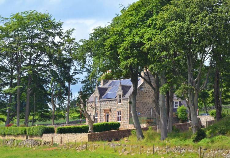 Photo of Others in Huntly