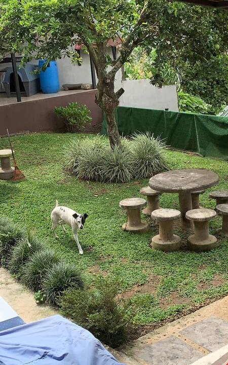 Photo of Others in La Guaria