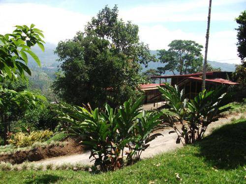 Photo of Others in Turrialba