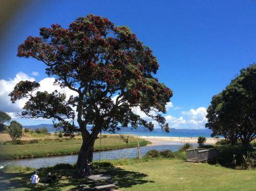 Photo of Others in Whitianga