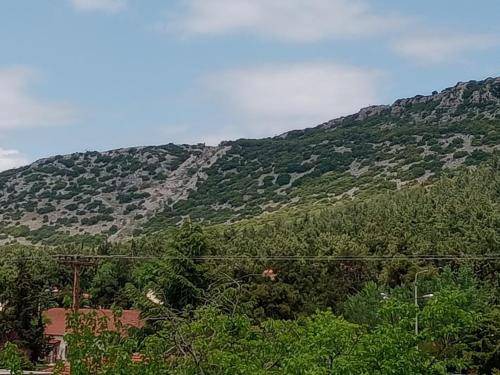 Photo of Others in Pylaia-Chortiatis