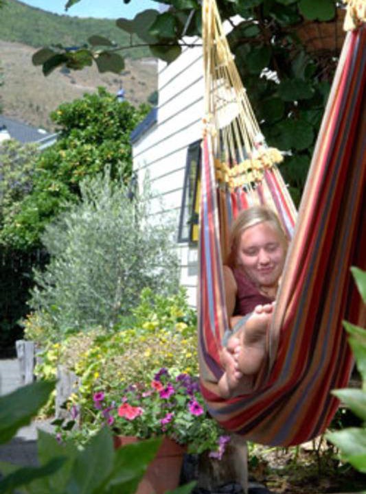 Photo of Others in Nelson
