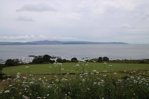 Photo of Others in Campbeltown