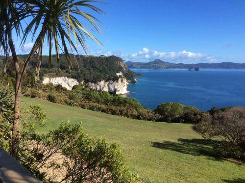 Photo of Others in Whitianga