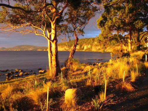 Photo of Others in Taroona