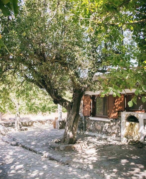 Photo of Others in Agios Georgios