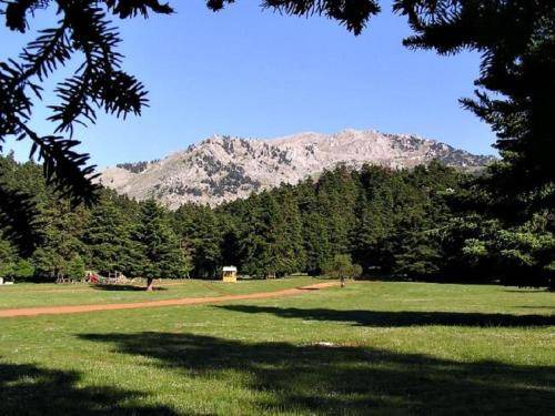 Photo of Others in Kyriaki