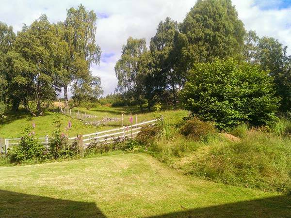 Photo of Others in Newtonmore