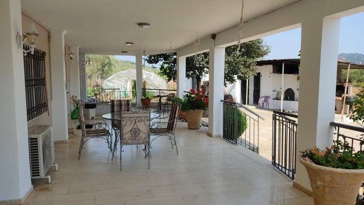 Photo of Patio Balcony in Archaia Olympia