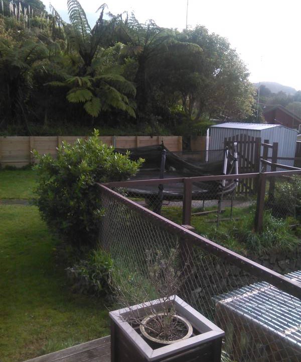 Photo of Others in Tawa