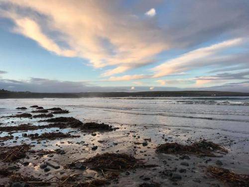 Photo of Others in Thurso