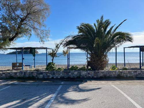 Photo of Others in Salamis