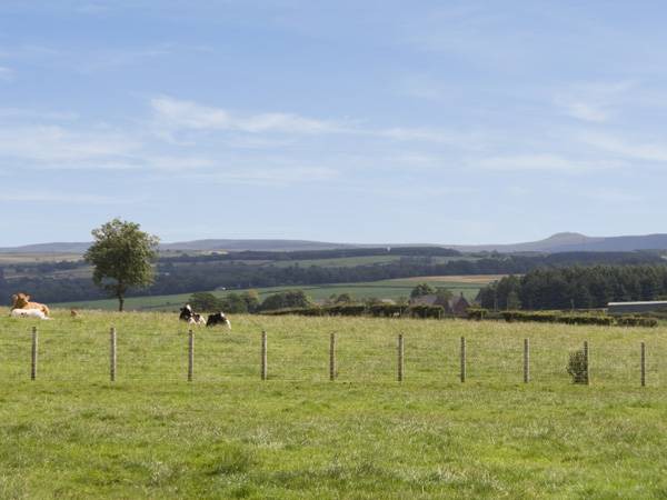 Photo of Others in Annan