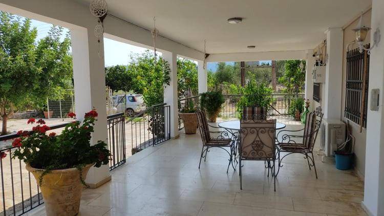 Photo of Patio Balcony in Archaia Olympia