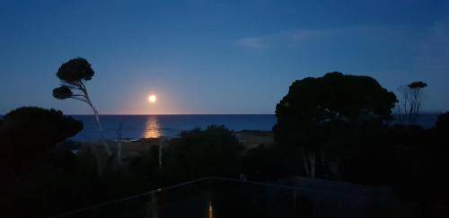 Photo of Others in Ulverstone