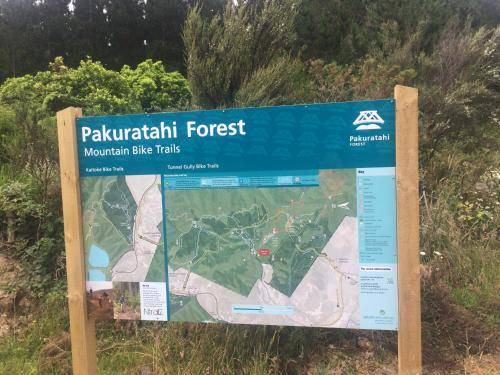 Photo of Others in Tararua Forest Park
