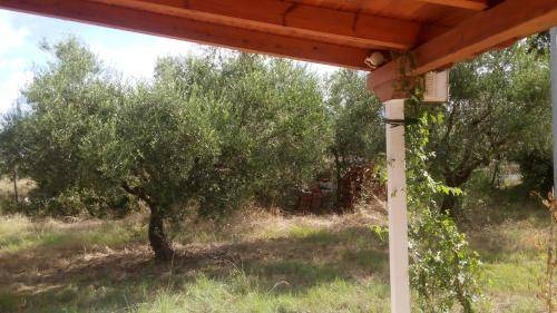 Photo of Others in Kiparissia
