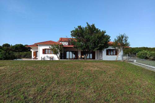 Photo of Others in Aristotelis