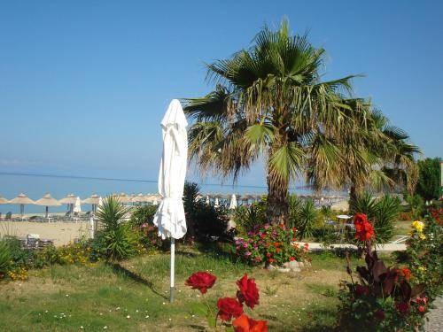 Photo of Others in Preveza