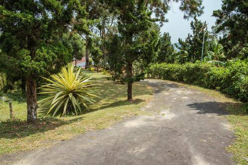Photo of Outdoor in Karanganyar